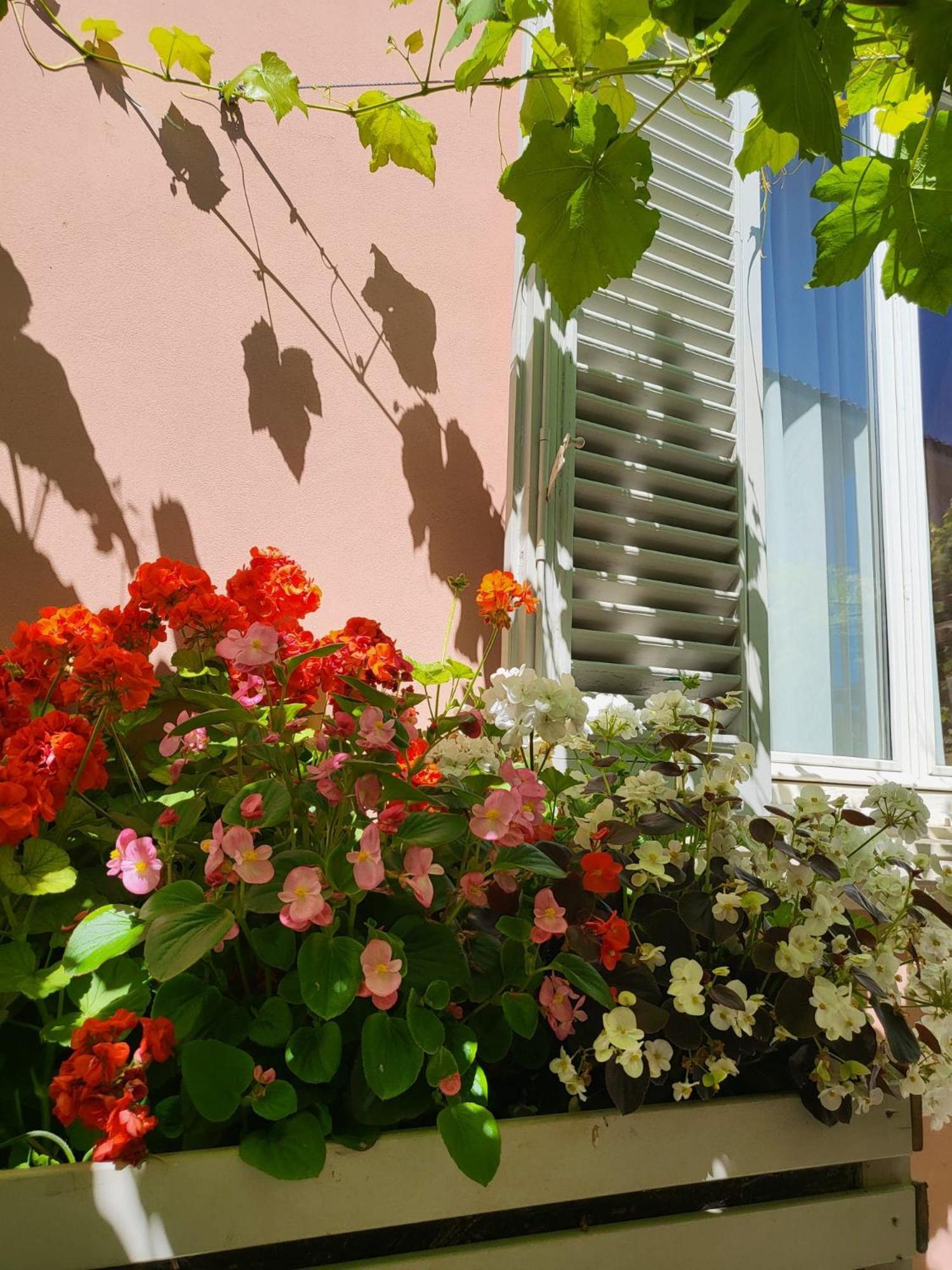 Il Buen Retiro Hotel Lucca Exterior photo