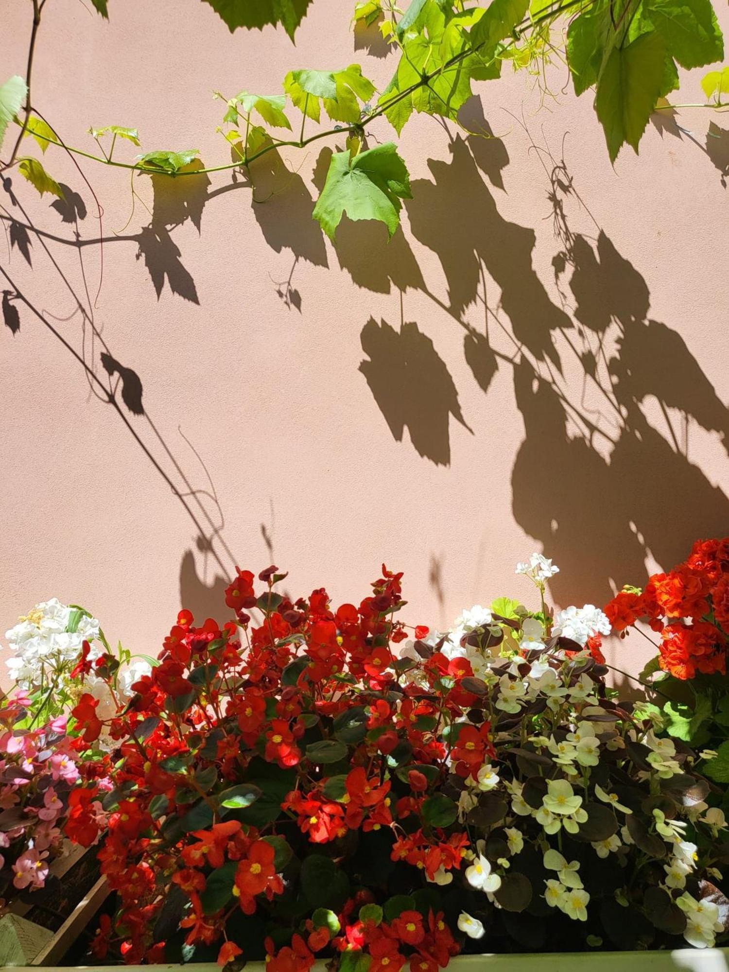 Il Buen Retiro Hotel Lucca Exterior photo